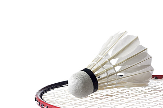 东契奇的视 东契奇的视